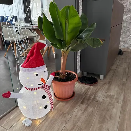 Kulacs Villa Velky Meder