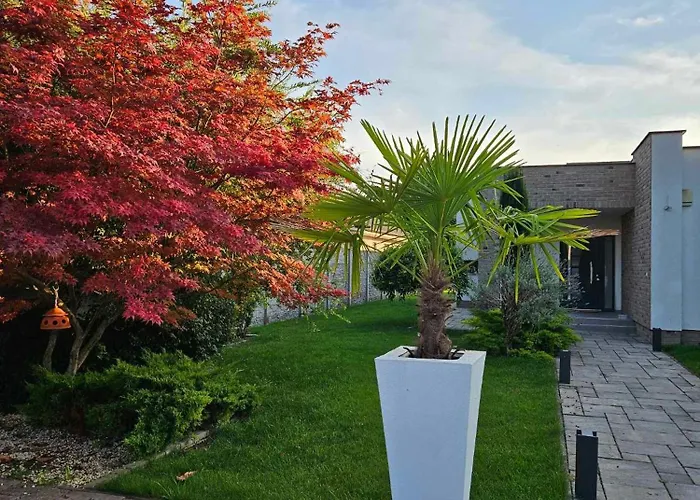 Kulacs Villa *